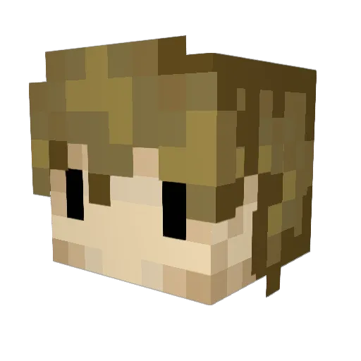 username110111 Minecraft avatar head, 3D render