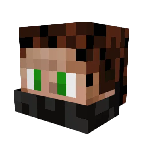 username356 Minecraft avatar head, 3D render