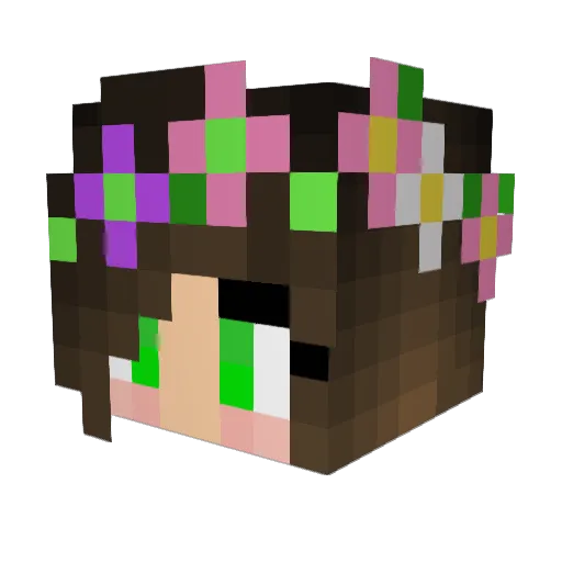 username_101 Minecraft avatar head, 3D render