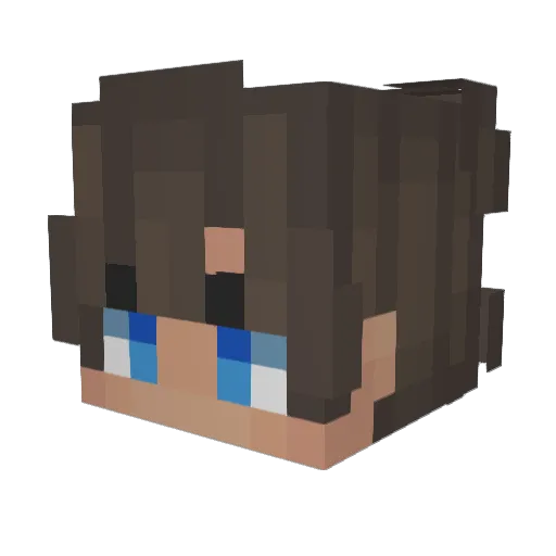 username_6 Minecraft avatar head, 3D render