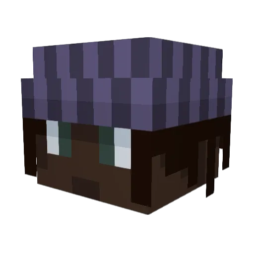 usernameduser Minecraft avatar head, 3D render