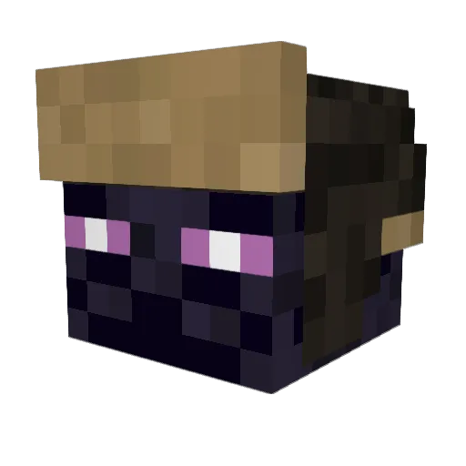 usernameowner69 Minecraft avatar head, 3D render