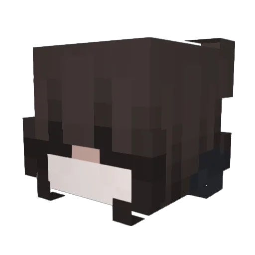 usersnotfounds Minecraft avatar head, 3D render