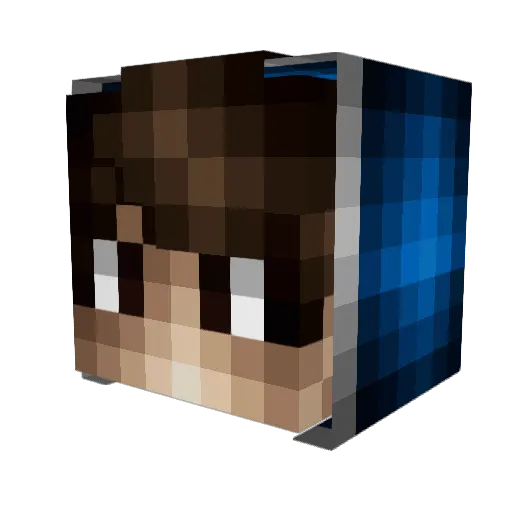 usetheforc2 Minecraft avatar head, 3D render
