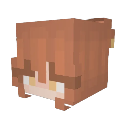ushoaM Minecraft avatar head, 3D render