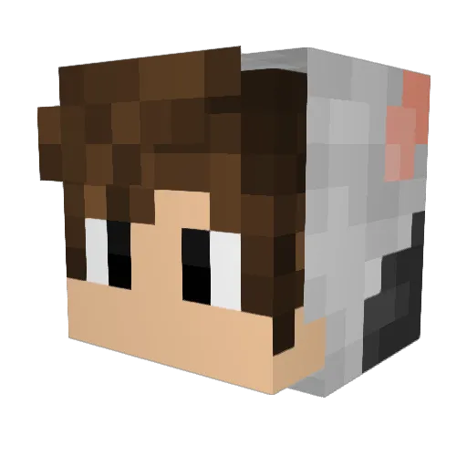 usiemonn Minecraft avatar head, 3D render