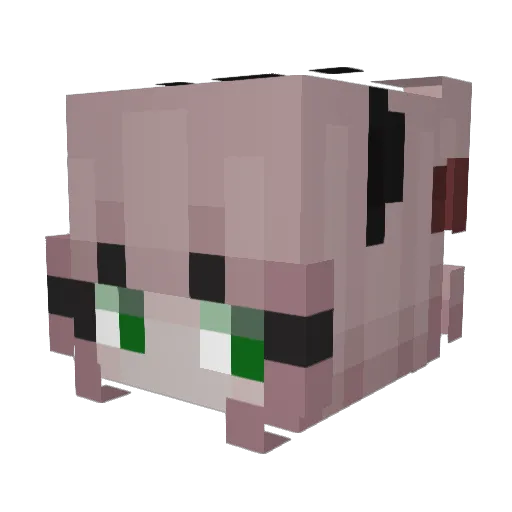 usokttk Minecraft avatar head, 3D render