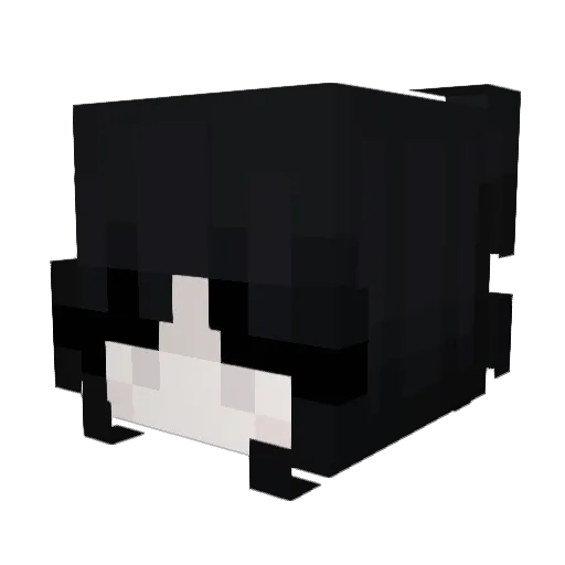 usoph Minecraft avatar head, 3D render
