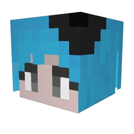 usuTy4n Minecraft avatar head, 3D render