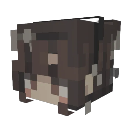usual_Sam Minecraft avatar head, 3D render