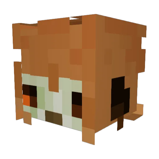 usualbizarre Minecraft avatar head, 3D render