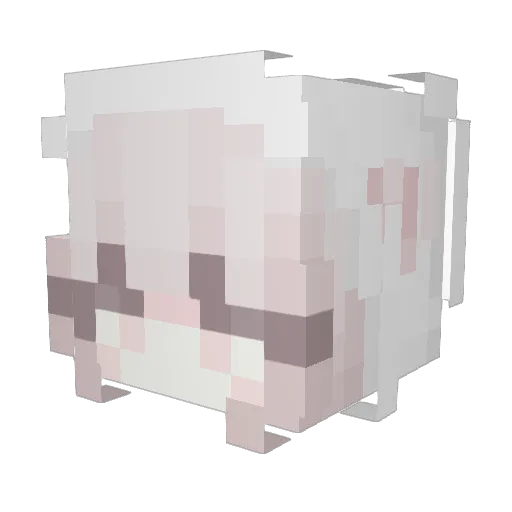 usum15 Minecraft avatar head, 3D render