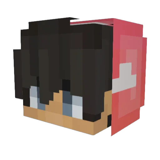 usynligfrosk Minecraft avatar head, 3D render