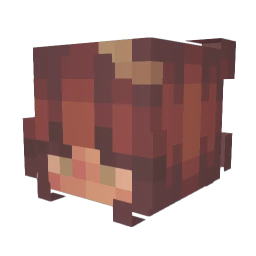 utmi Minecraft avatar head, 3D render