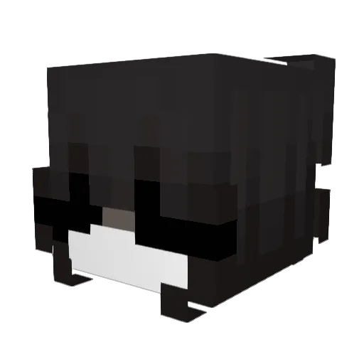 utykasz_kasti Minecraft avatar head, 3D render