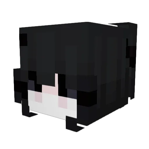 uu9uu Minecraft avatar head, 3D render
