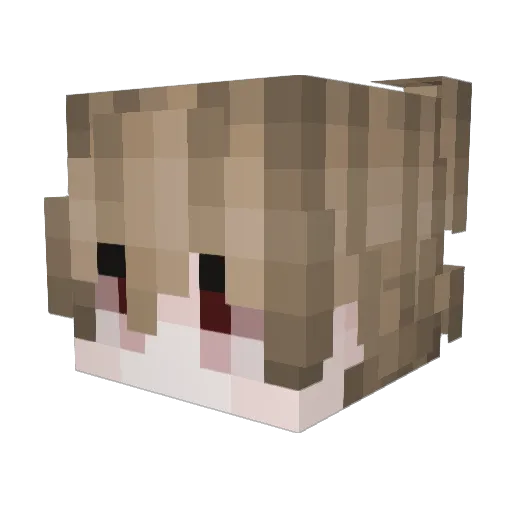uwcp Minecraft avatar head, 3D render