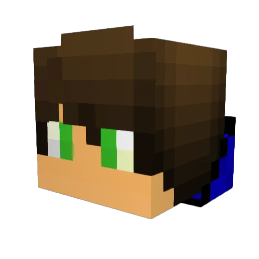 uwslonghorn Minecraft avatar head, 3D render