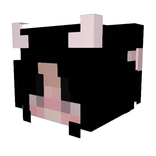 uwu9 Minecraft avatar head, 3D render