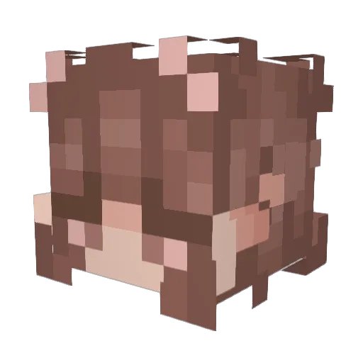 uwuflor Minecraft avatar head, 3D render