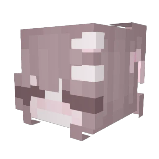 uwuyuri Minecraft avatar head, 3D render