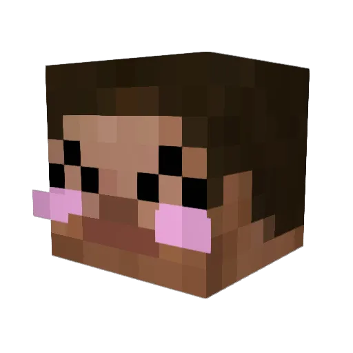 uwuywy Minecraft avatar head, 3D render