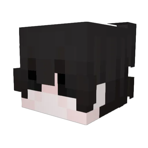 uz9i Minecraft avatar head, 3D render
