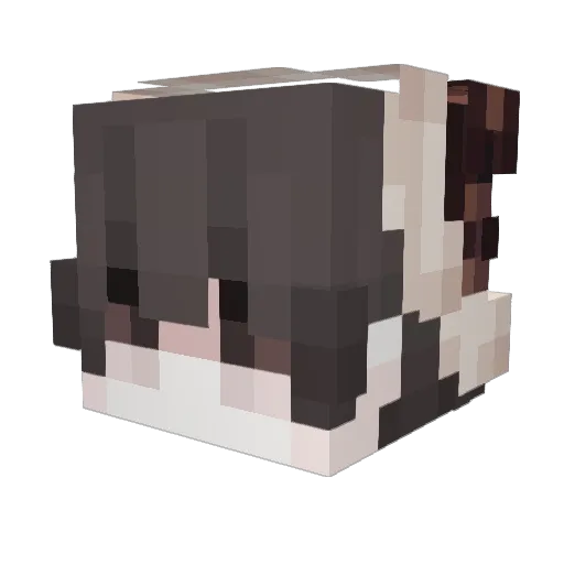 uzshi Minecraft avatar head, 3D render