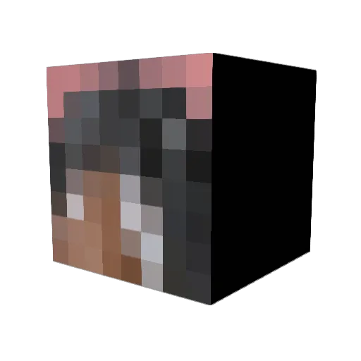 v0rtex1ng Minecraft avatar head, 3D render