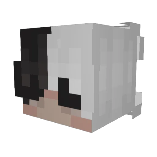 v1n4ssa Minecraft avatar head, 3D render