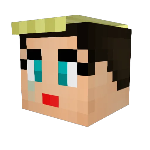 v1nc95 Minecraft avatar head, 3D render