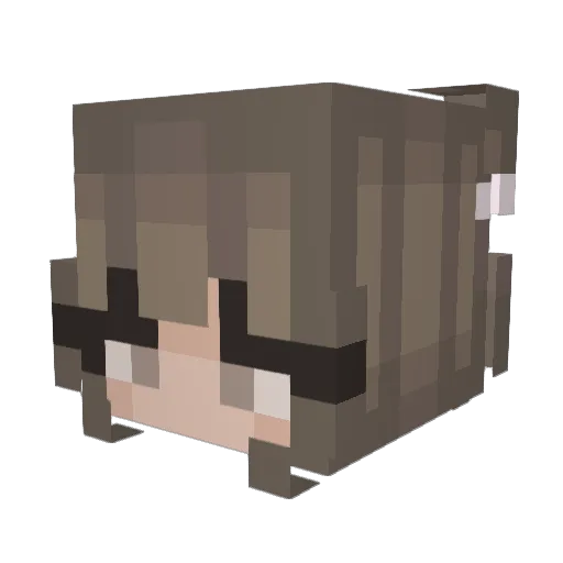 v1r1d1ty Minecraft avatar head, 3D render