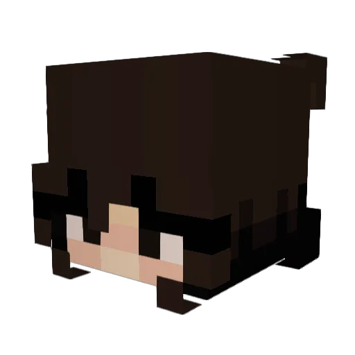 v1xy187 Minecraft avatar head, 3D render
