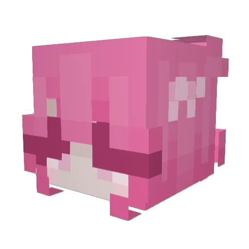 v3sh_xyzz Minecraft avatar head, 3D render