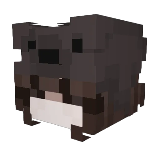 v4yr4y Minecraft avatar head, 3D render