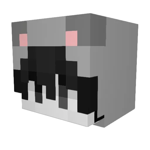 v5rtue Minecraft avatar head, 3D render