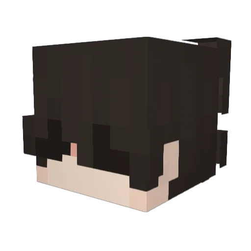 v6nc Minecraft avatar head, 3D render