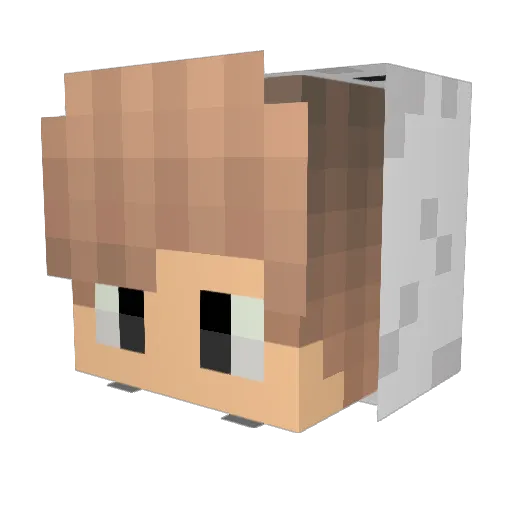 v8Berke Minecraft avatar head, 3D render