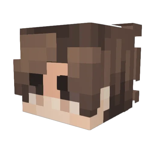 vAmer_ Minecraft avatar head, 3D render