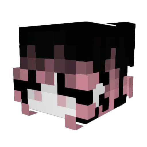 vAscendance Minecraft avatar head, 3D render