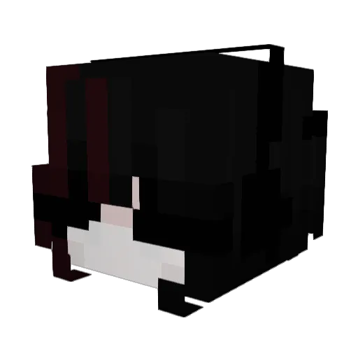 vBaguette Minecraft avatar head, 3D render