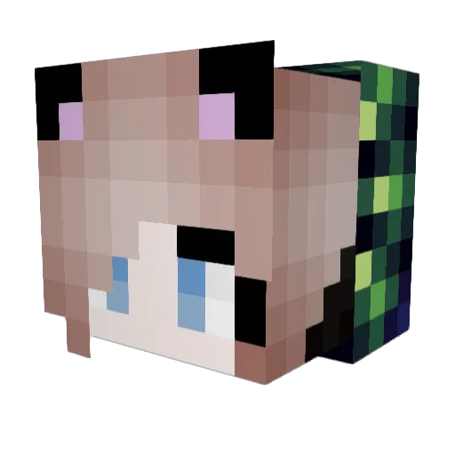 vCreepers_ Minecraft avatar head, 3D render