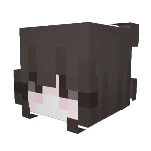 vFly Minecraft avatar head, 3D render