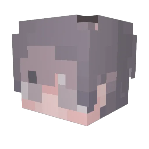 vFoxxz Minecraft avatar head, 3D render