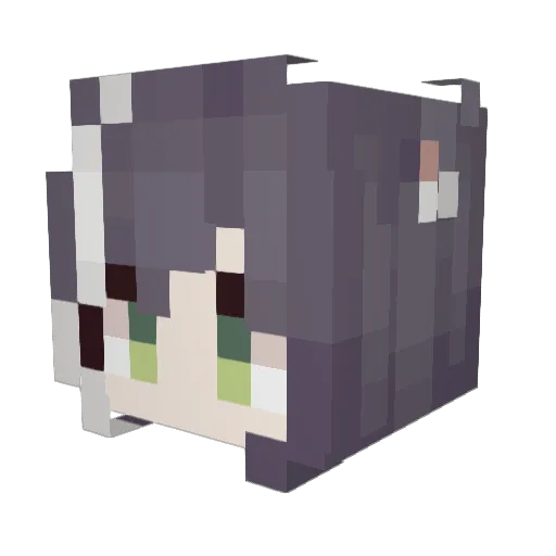 vFrostPN Minecraft avatar head, 3D render