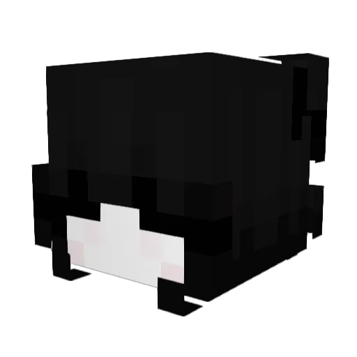 vHoshiStar Minecraft avatar head, 3D render