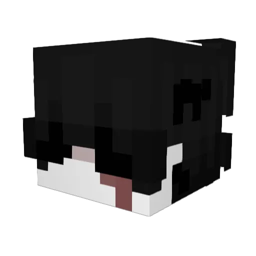 vKyooi_ Minecraft avatar head, 3D render