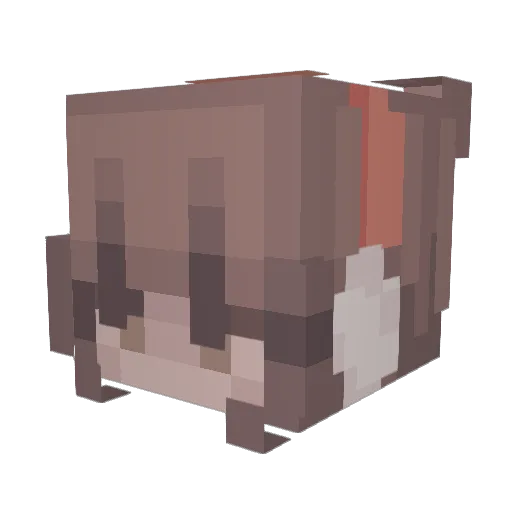 vMIY4 Minecraft avatar head, 3D render
