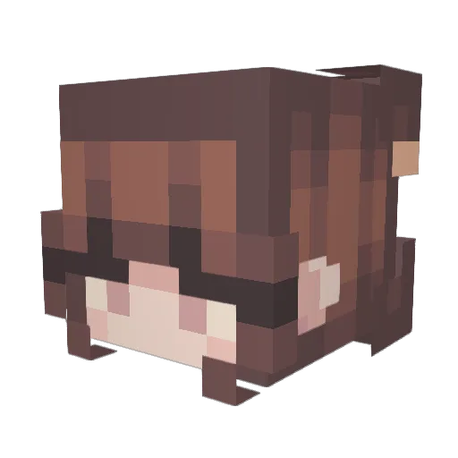 vMRTNv Minecraft avatar head, 3D render