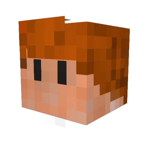 vNARF Minecraft avatar head, 3D render